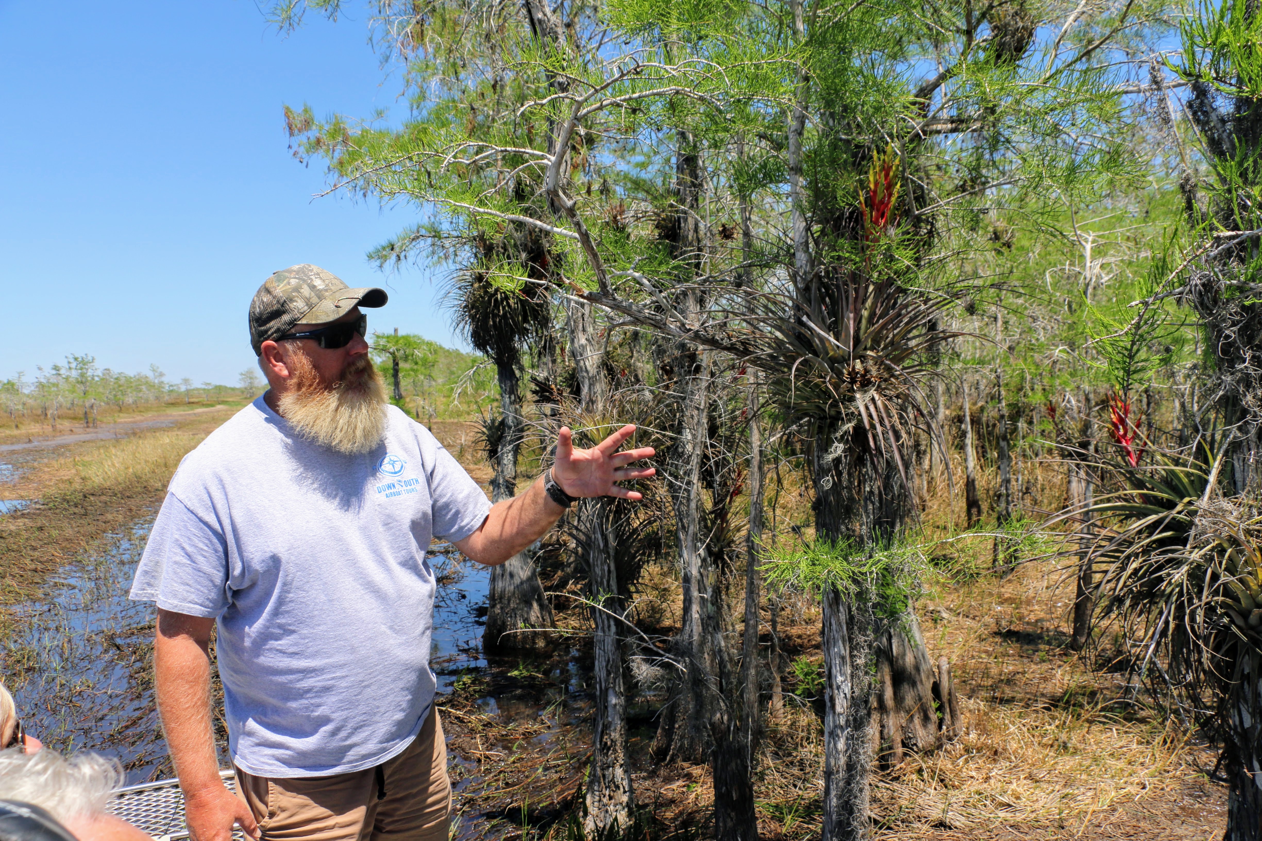 Everglades met gids