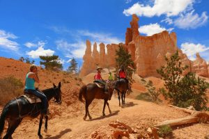 Paardrijden in Utah
