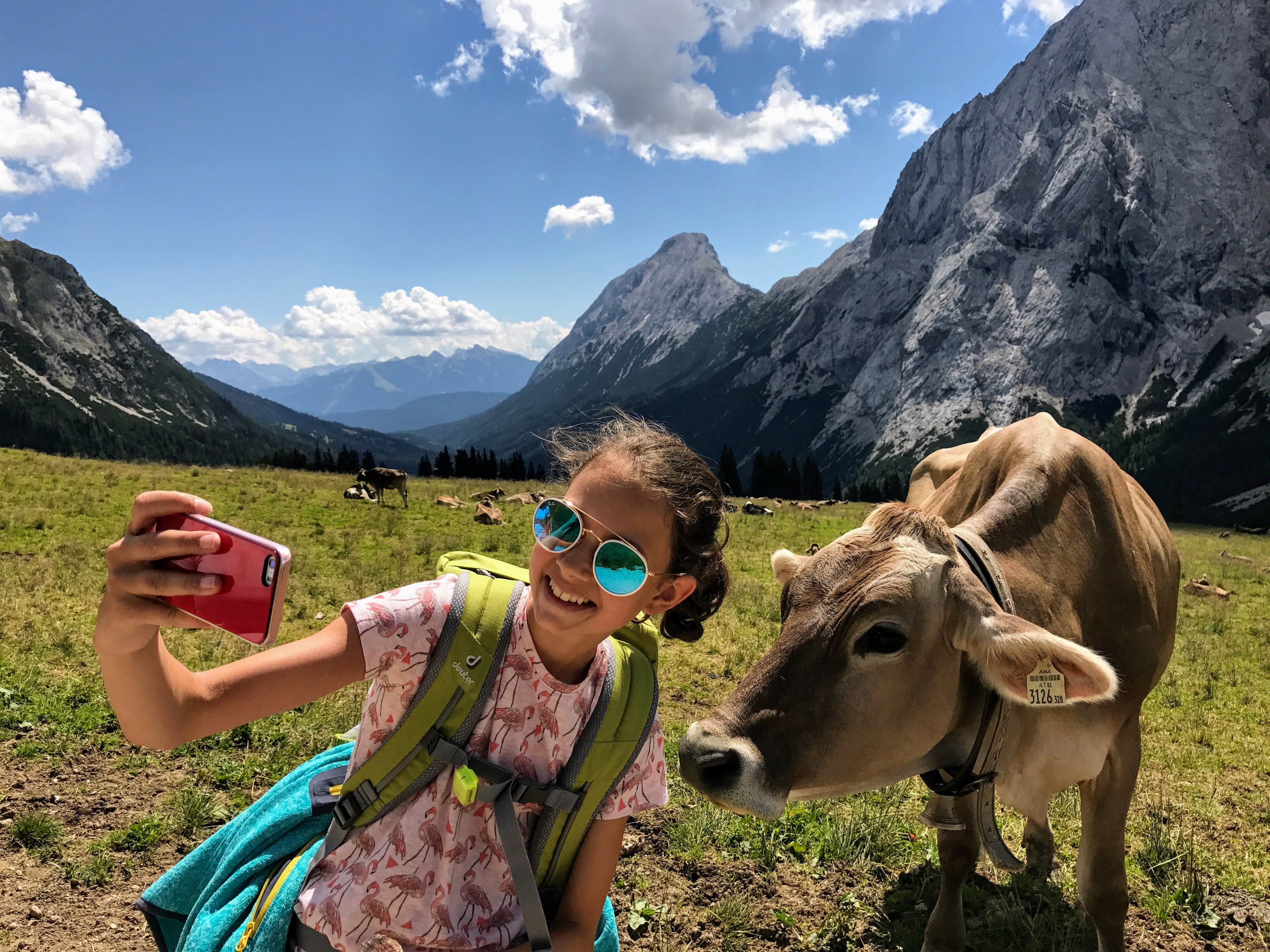 Selfie met koe