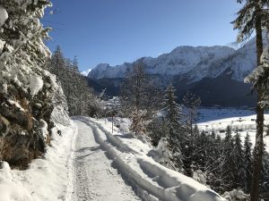 Winterwandeling Ehrwald Lermoos