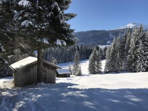 Berghutje in Tirol