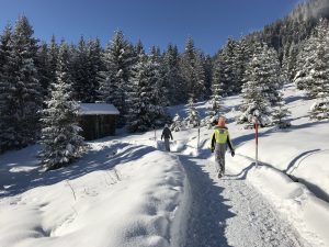 Winterwandelwegen in de Tiroler Zugspitzarena