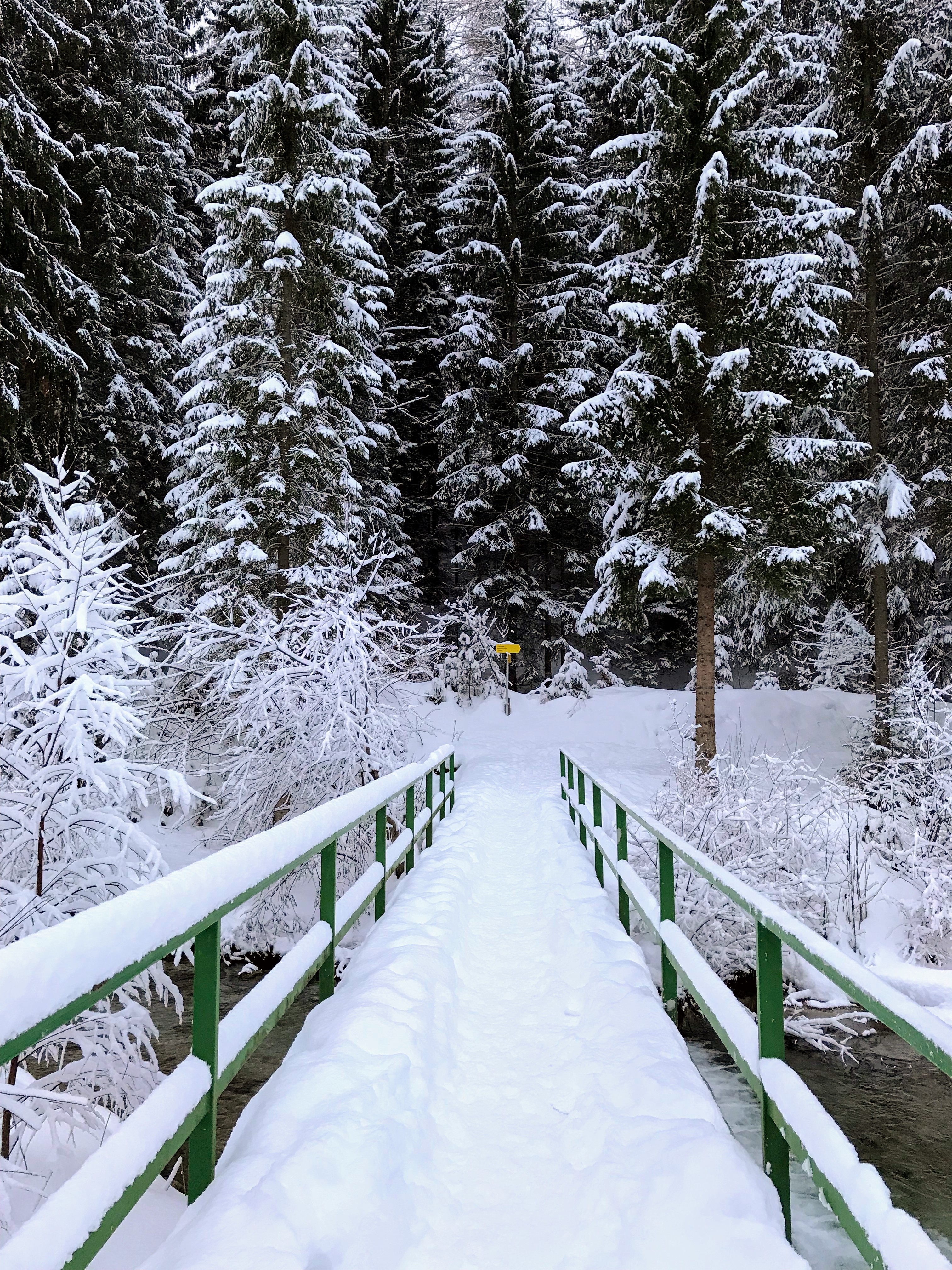 Wandelen in de winter Oostenrijk