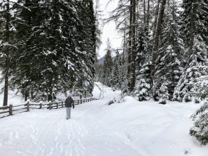 Winterwandeling richting Biberwier