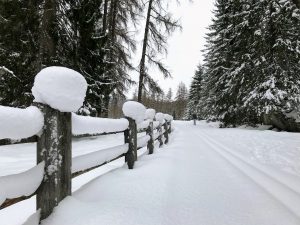 Sneeuwval in Ehrwald