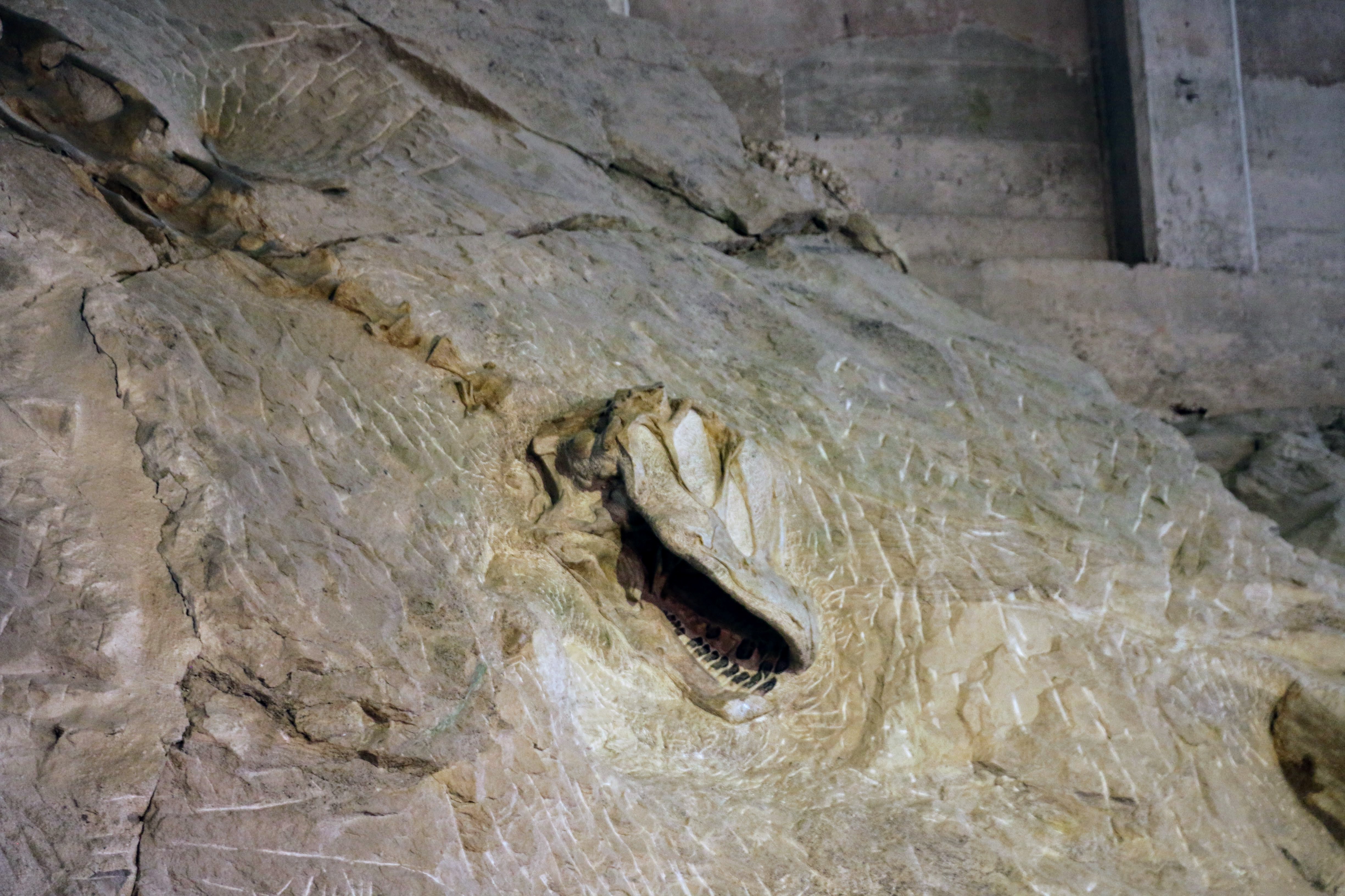 Dinosaur National Monument - Quarry Exhibit Hall
