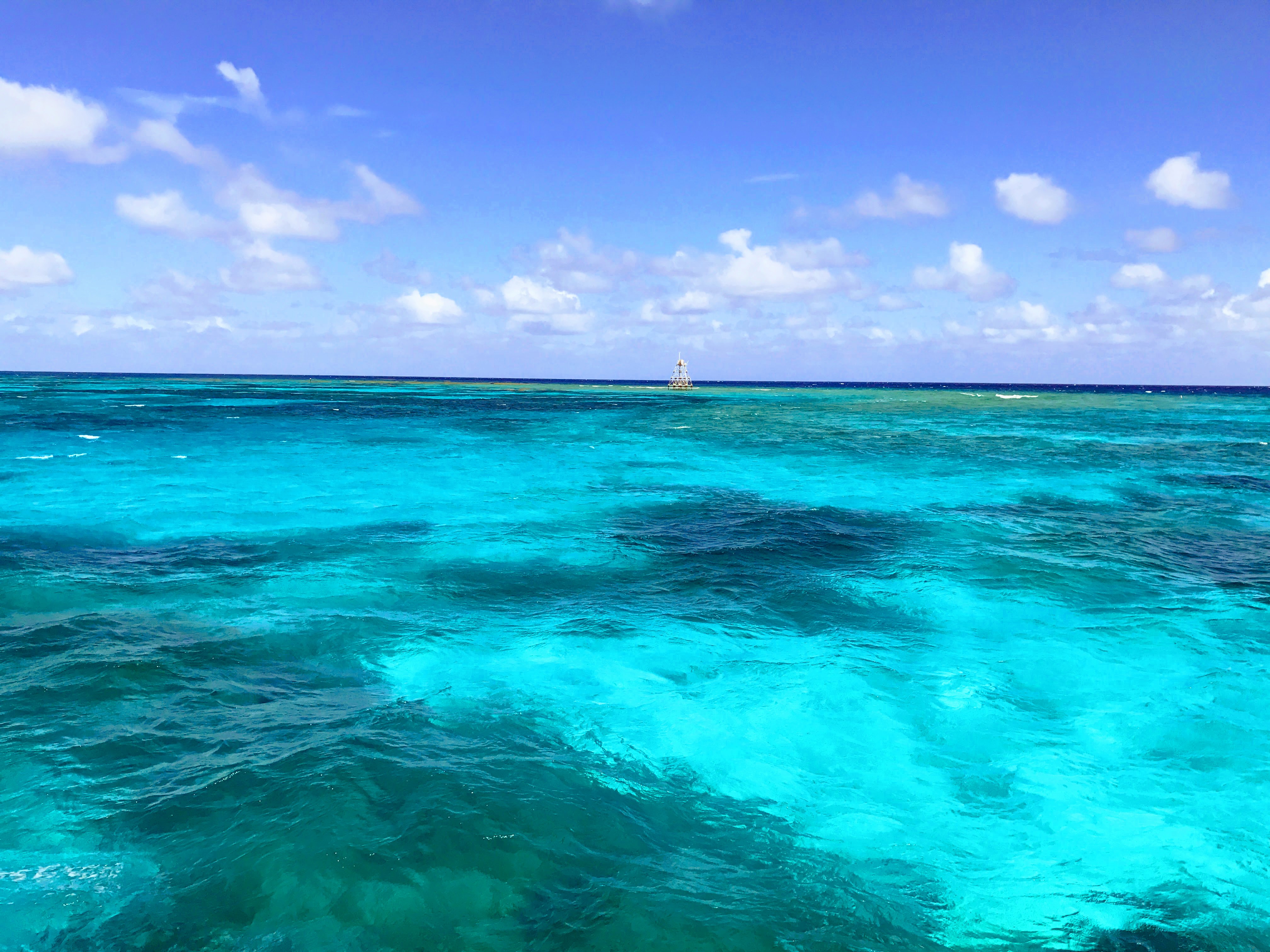 John Pennekamp Coral Reef State Park Florida