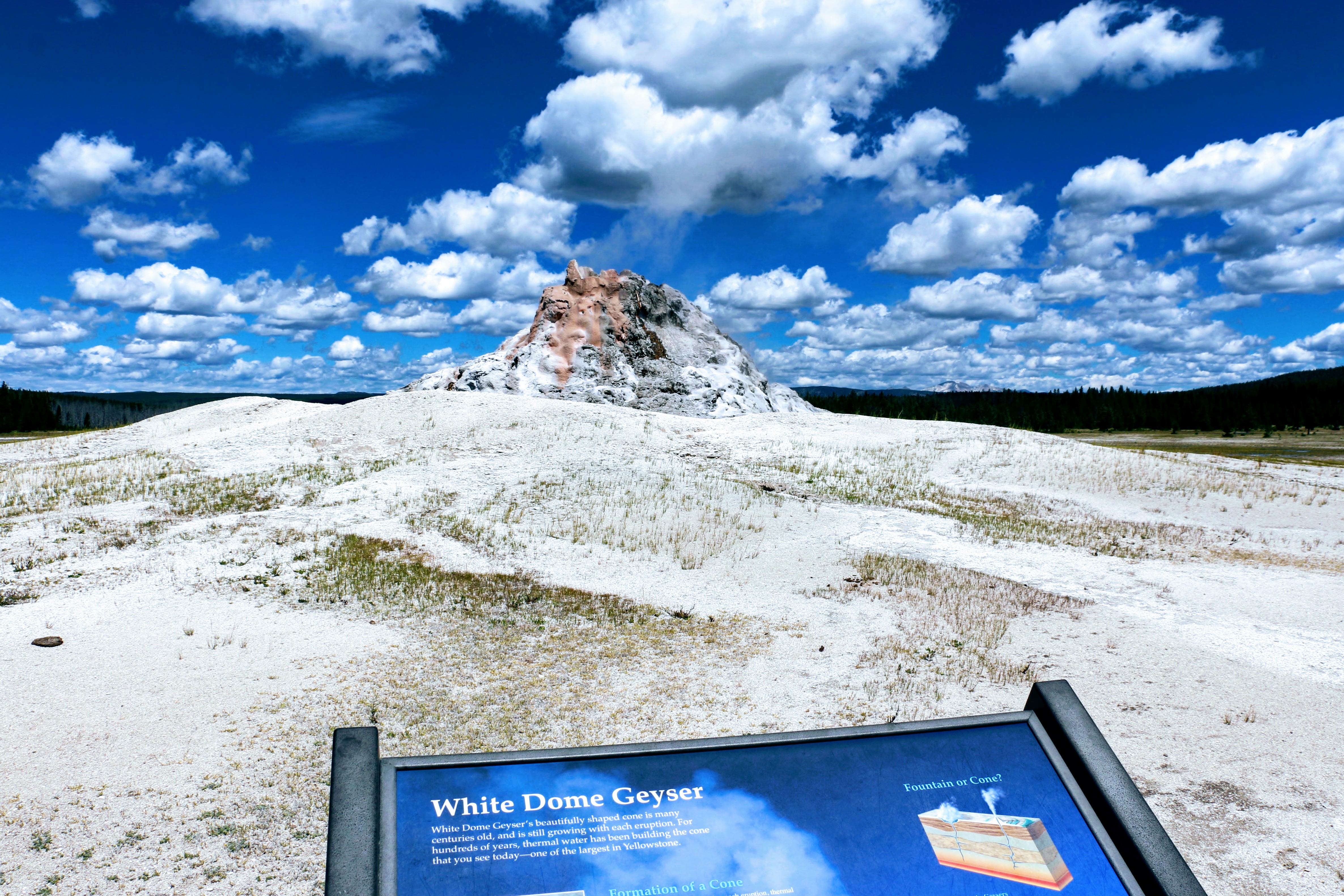 White Dome Geyser Yellowstone National Park