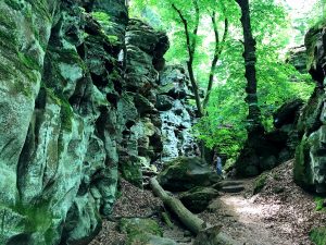 Groene rotsen in de Eifel