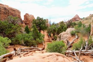 Hiking tours in Arches National Park