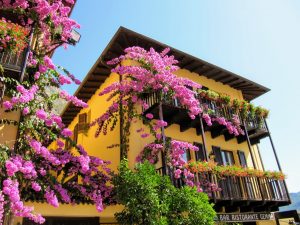 Gekleurde gevels in Limone sul Garda met bougainville
