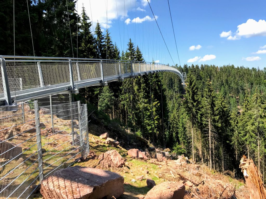 Wildline Hängebrücke Schwarzwald