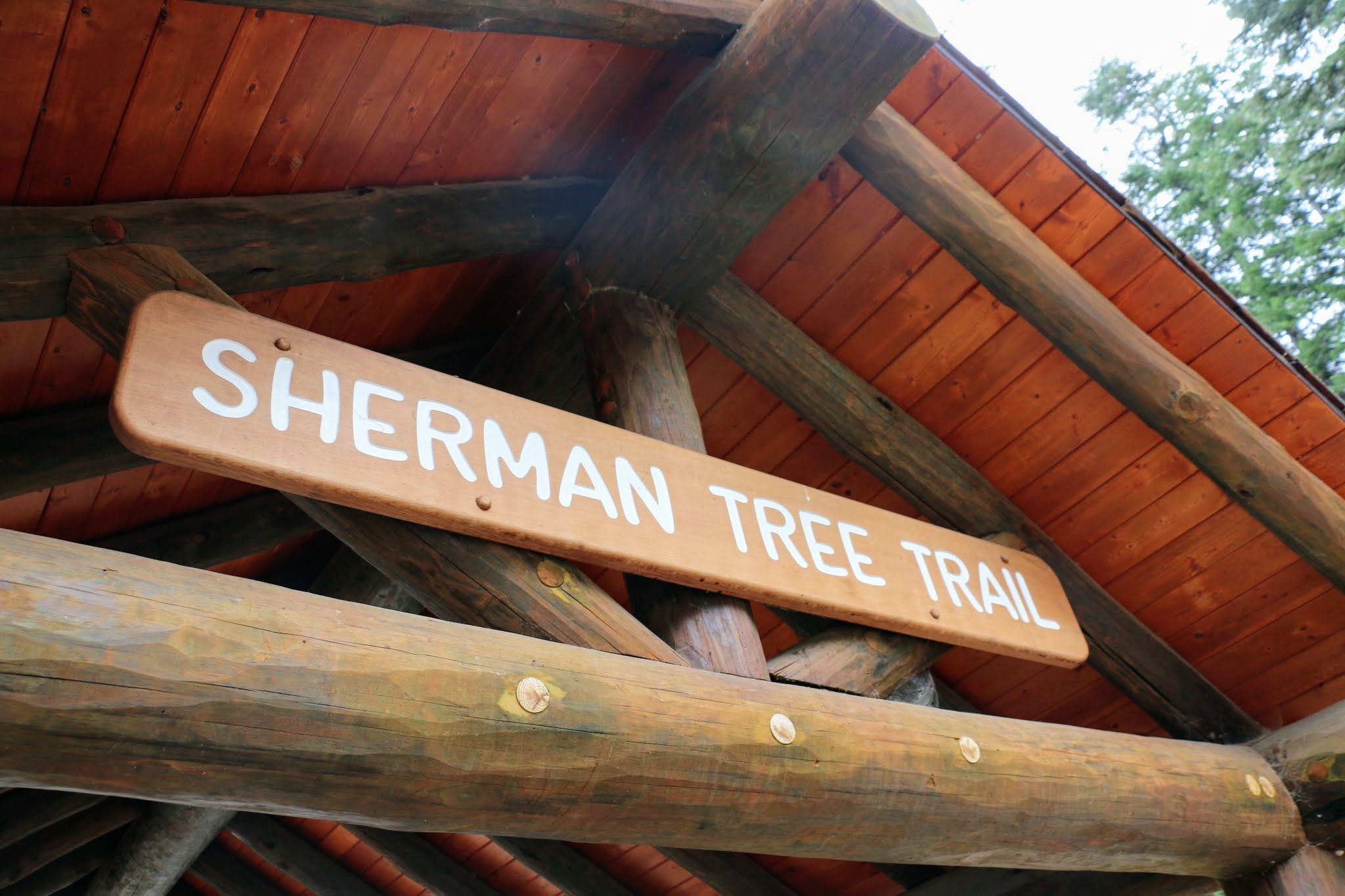 Sherman Tree Trail