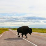 Een road trip door South Dakota
