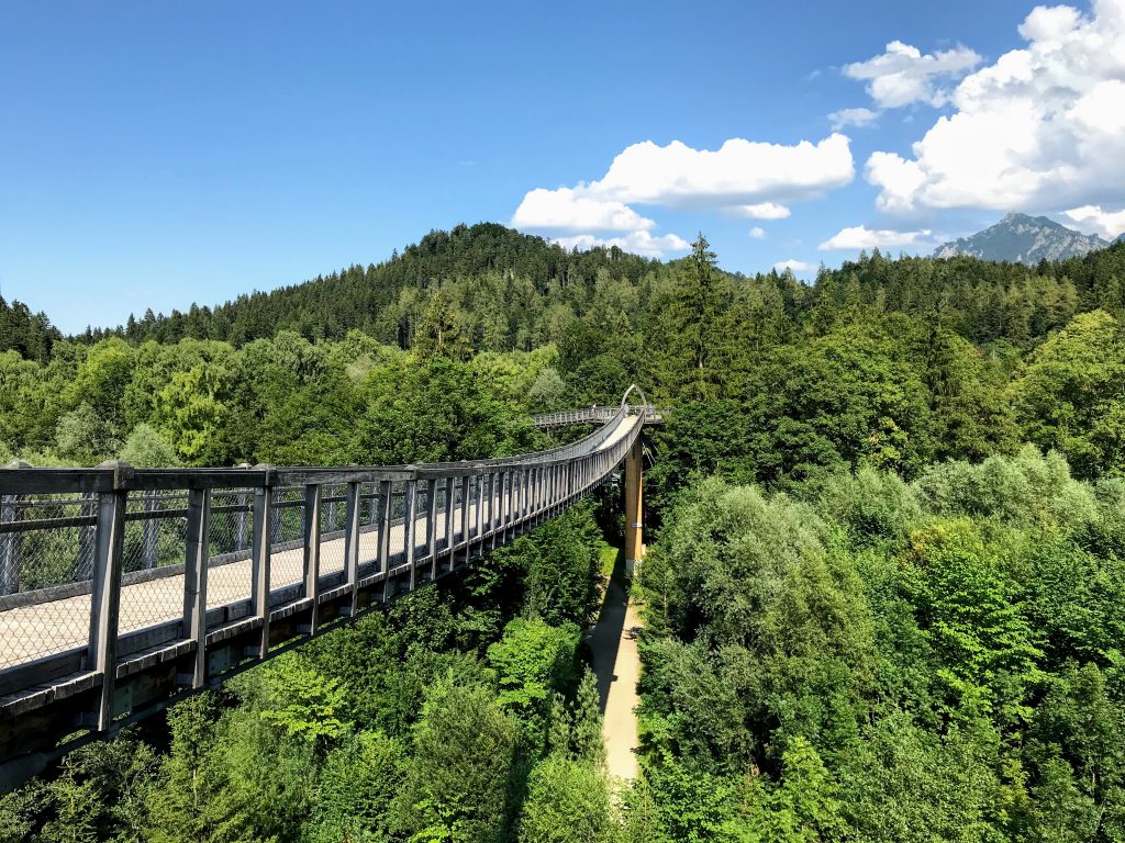 Baumkronenweg Ziegelwies - Füssen, Ostallgäu