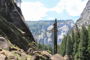 Vernal Fall trail Yosemite