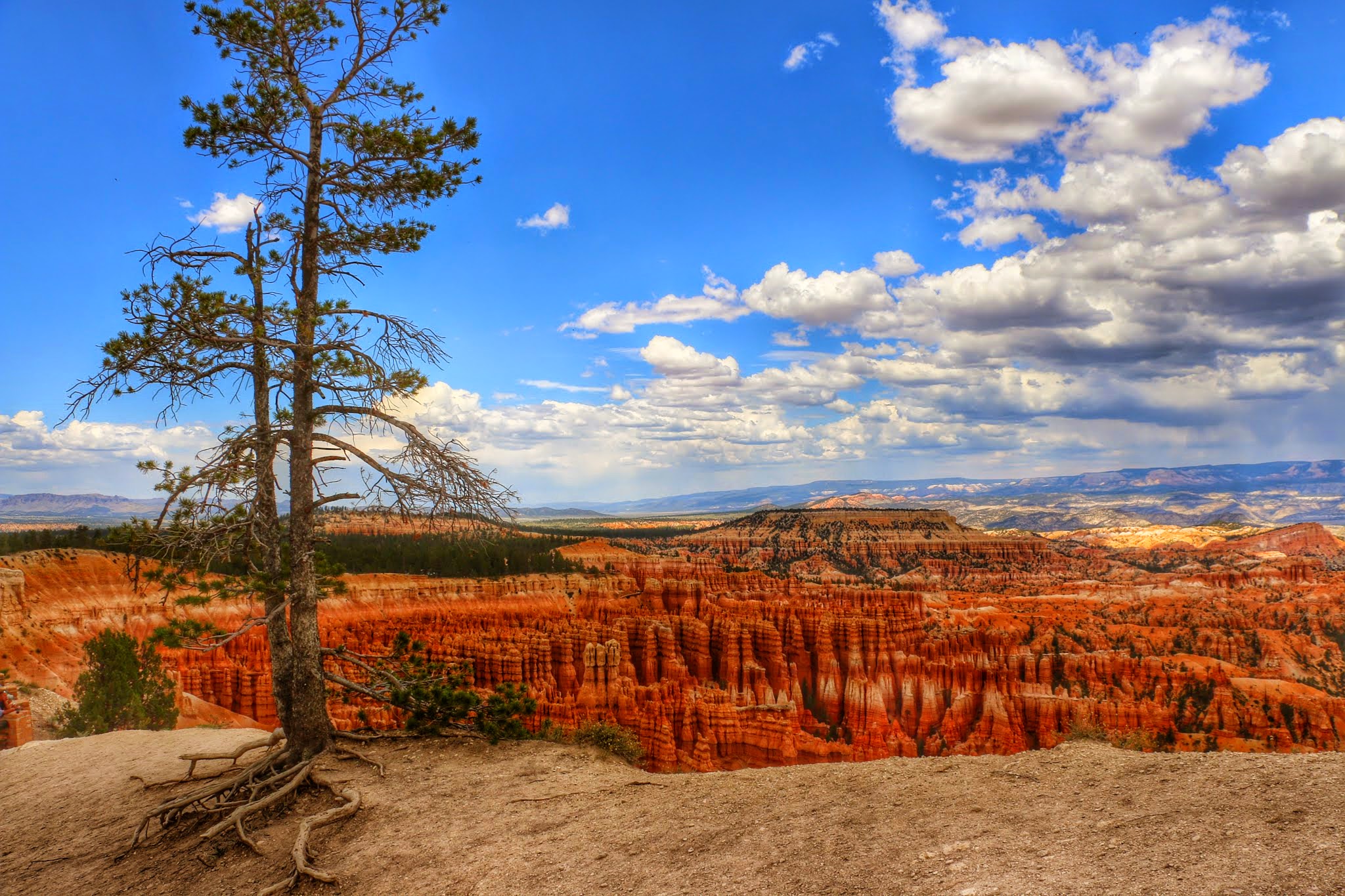 Bryce Canyon NP