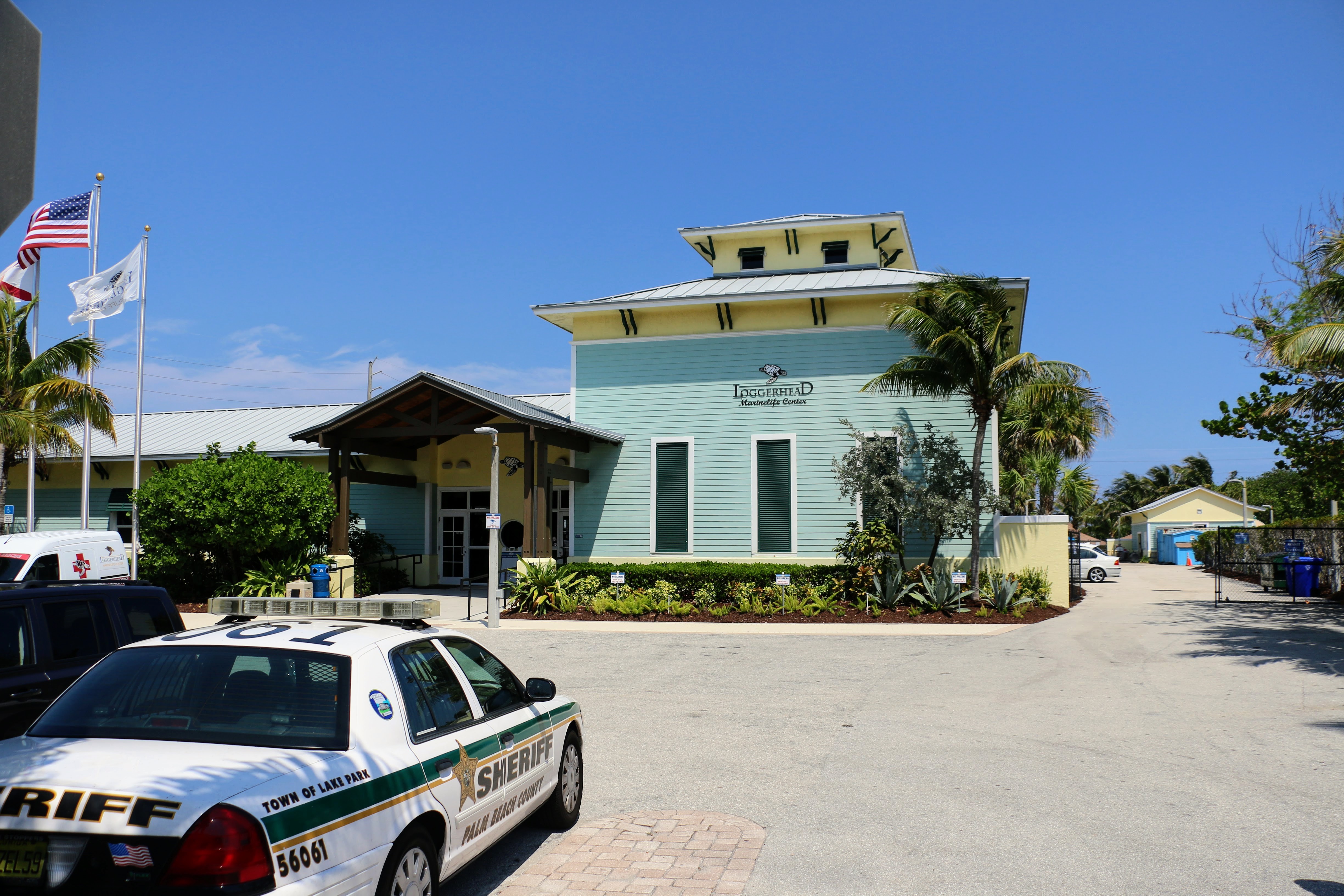 Loggerhead Marinelife Center