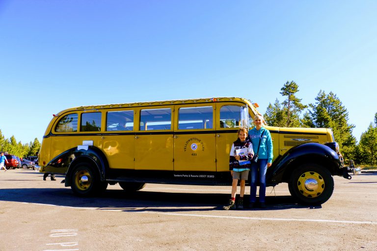 old yellow bus tour yellowstone