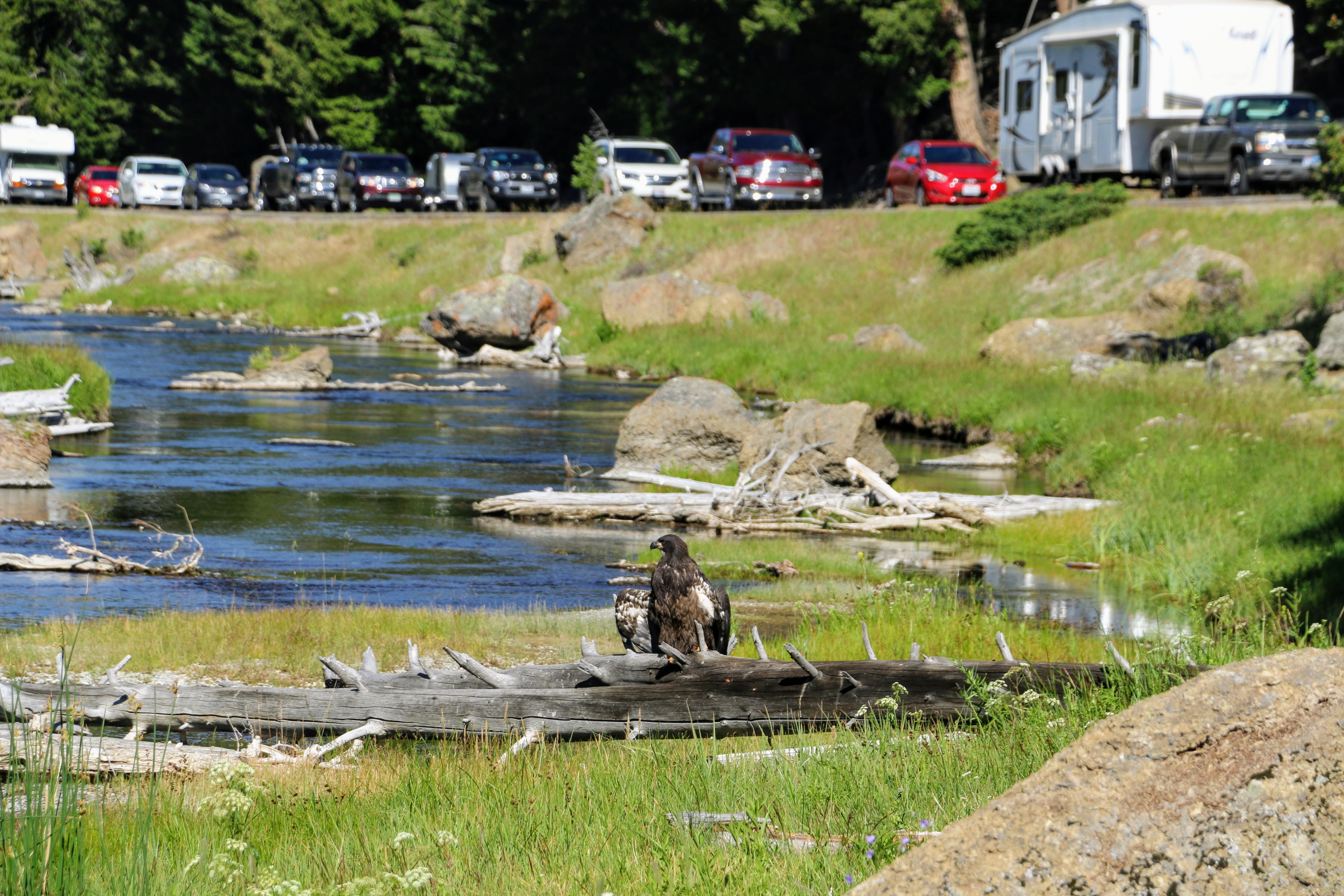 Yellowstone West ingang afstand