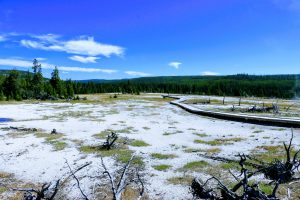 Vlonderpaden Yellowstone National Park
