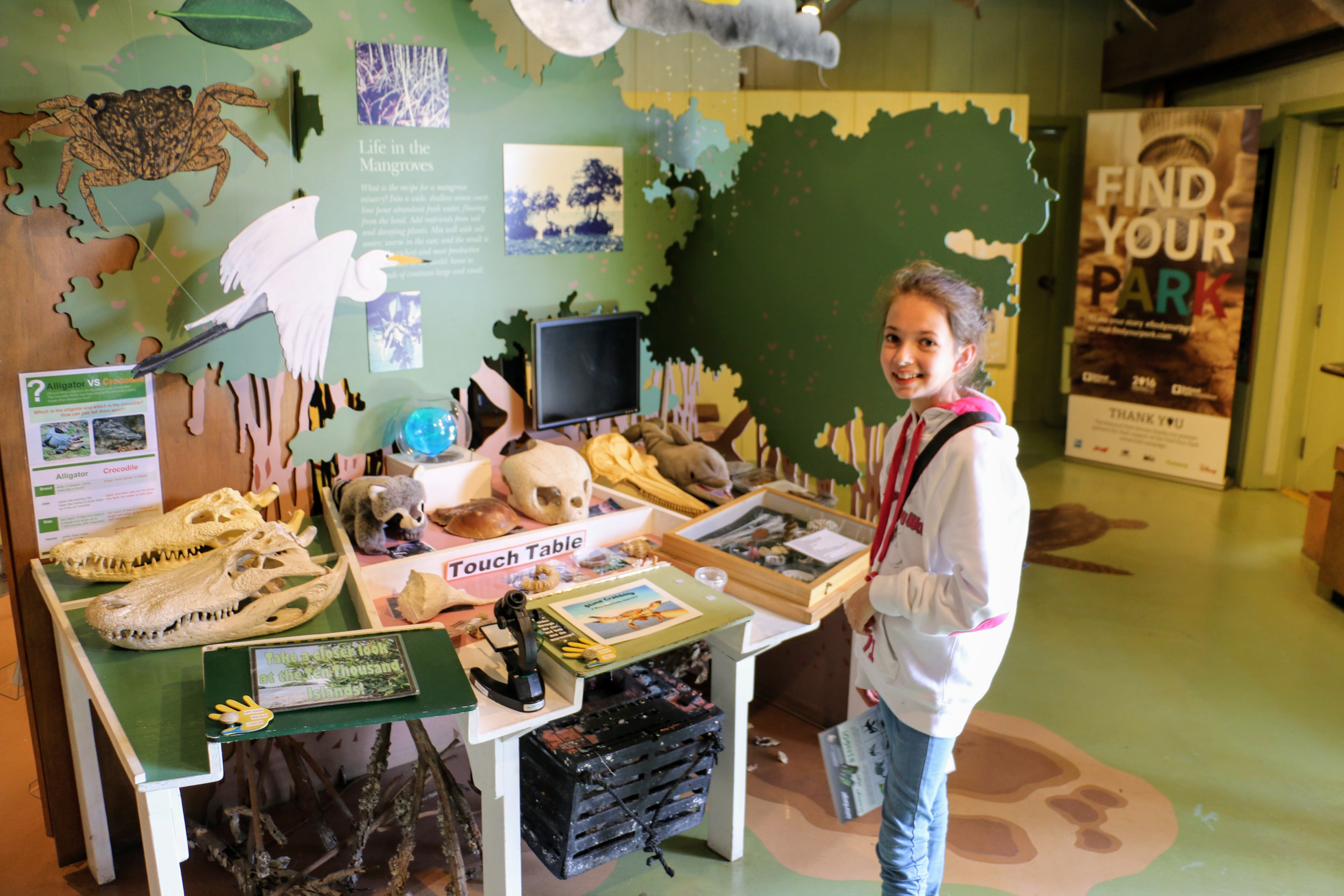 Junior Ranger Program Florida Everglades