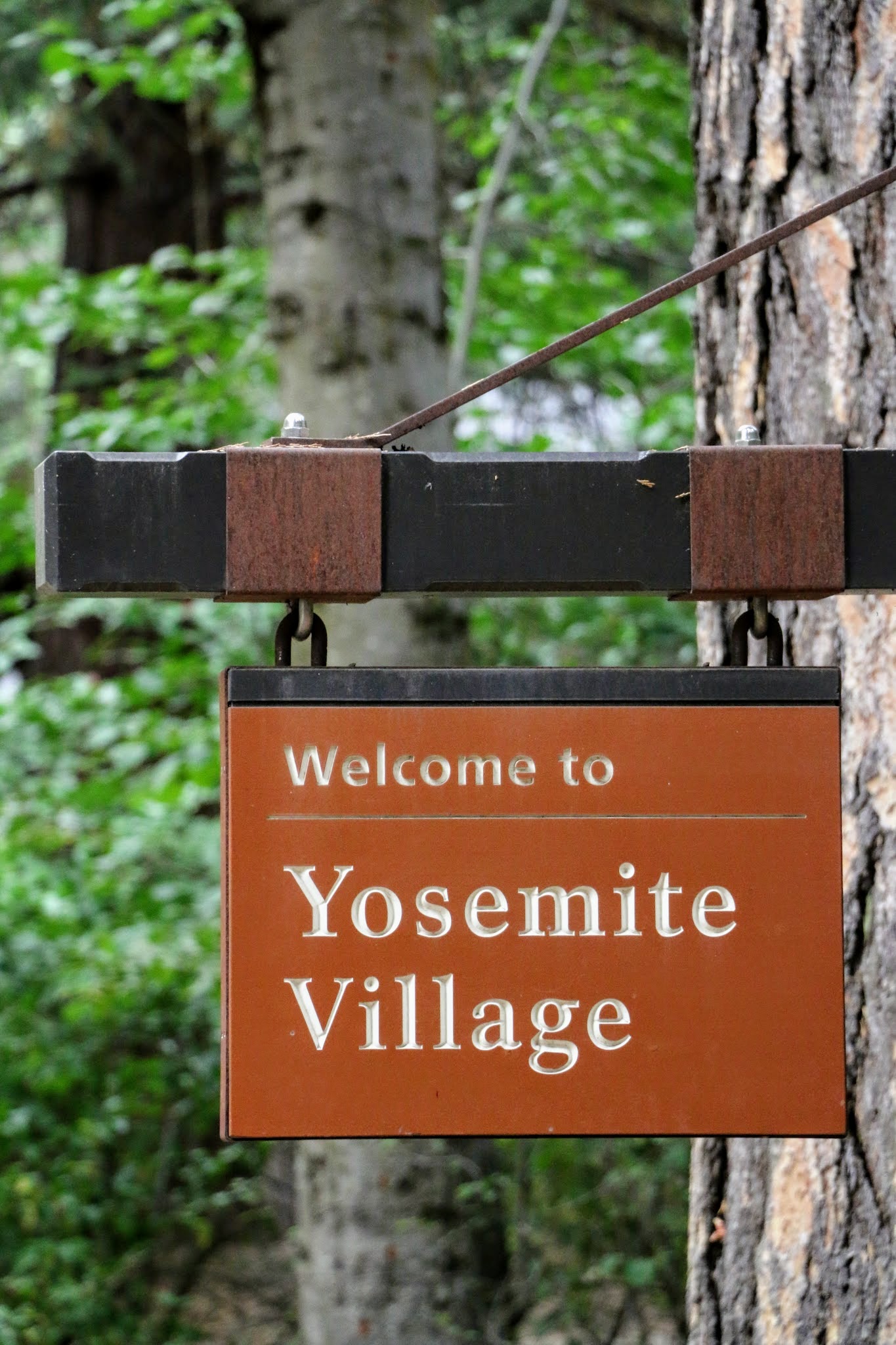 Welcome to Yosemite village