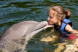 Zwemmen met dolfijnen Florida met kind