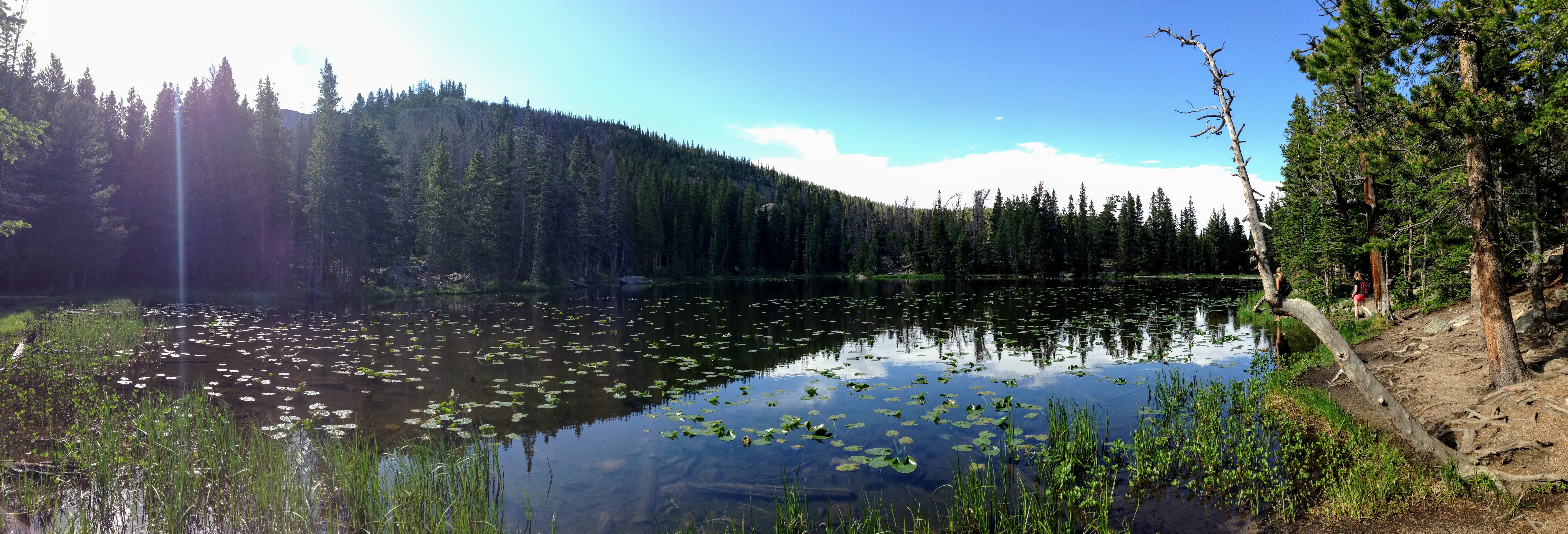 Nymph Lake panorama Colorado