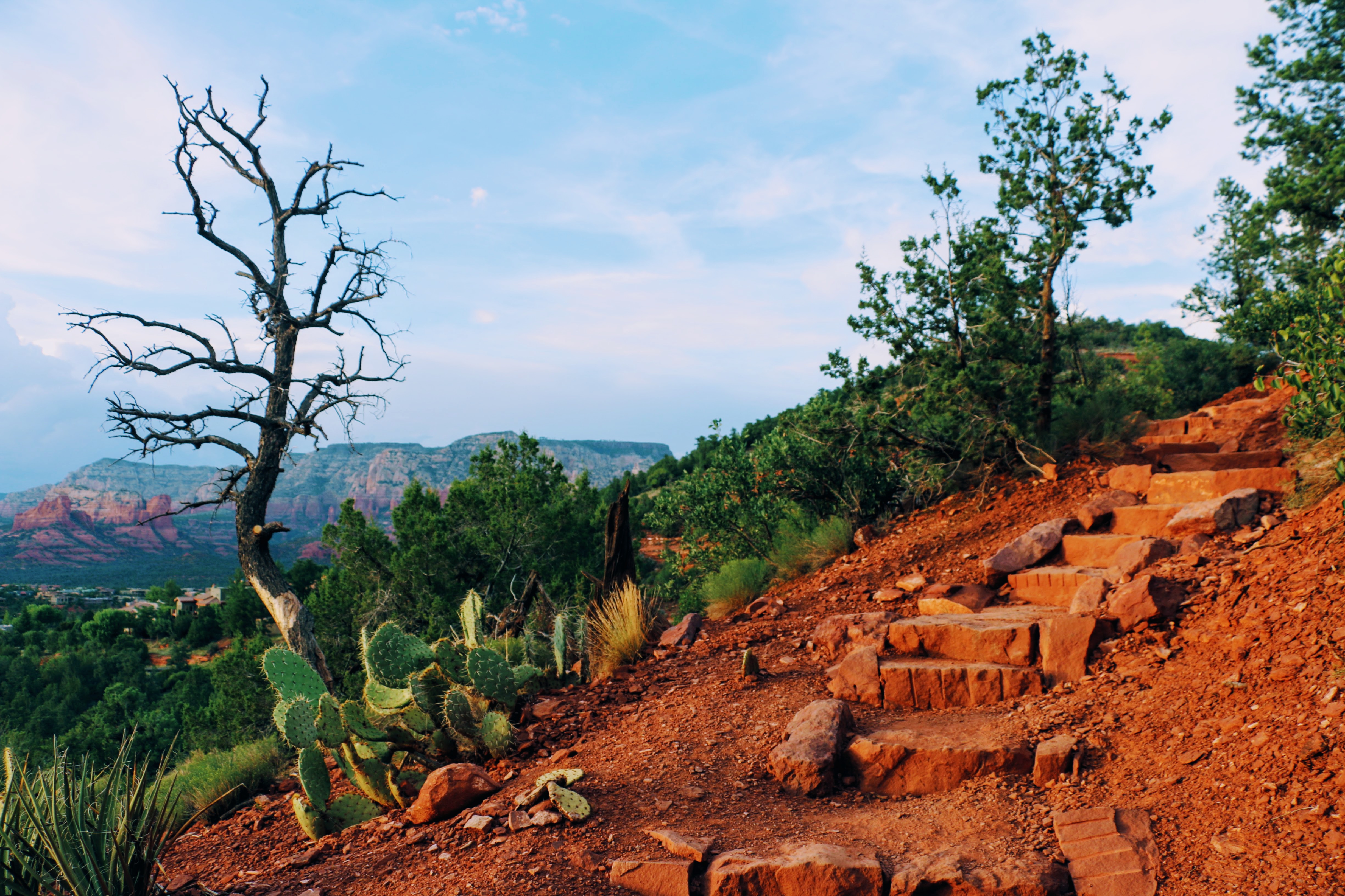 Mooie wandelingen in Sedona Arizona