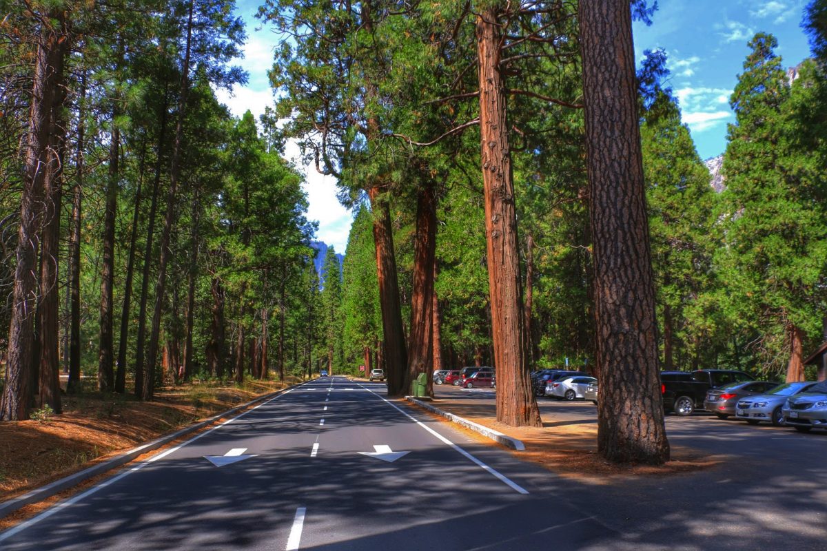 Yosemite National Park bezoeken