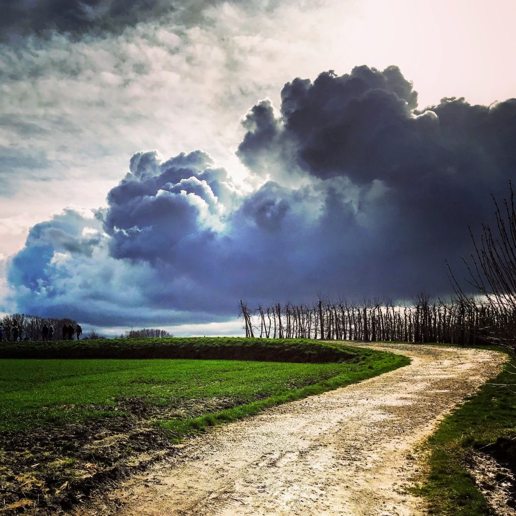 Blogwandeling in Zammelen