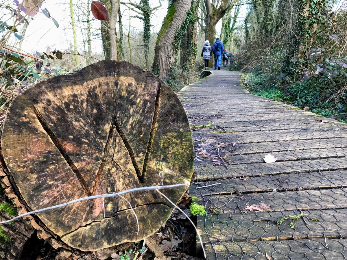 Wandelingen in Zammelen