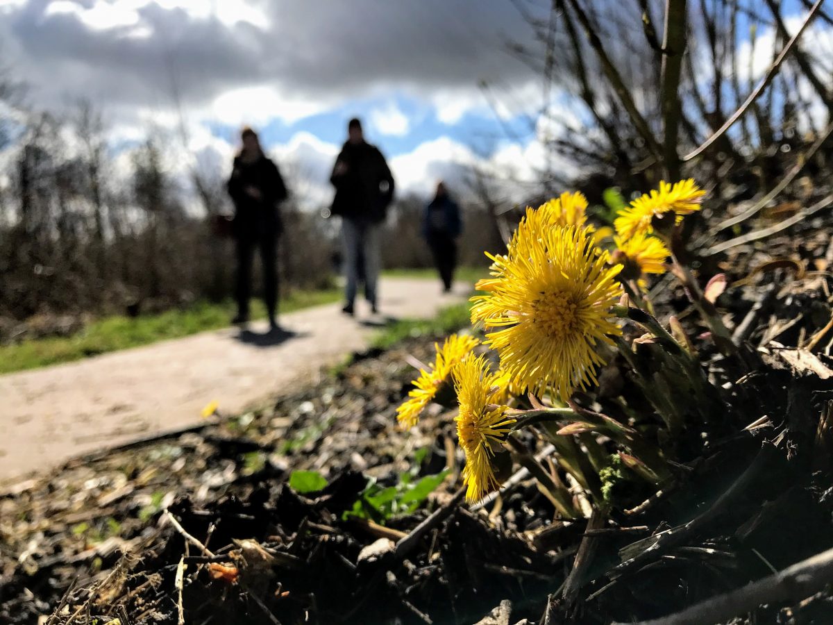 Lentwandeling verwonderhoekje blog