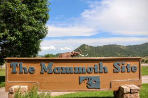 The Mammoth Site of Hot Springs