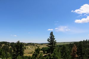 Custer State Park Route