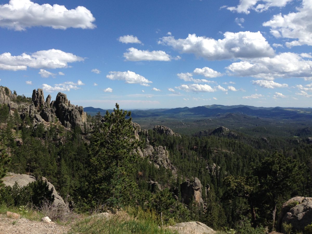 Needles Highway