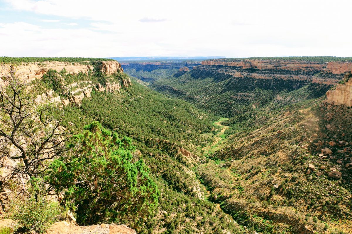 Mesa Verde foto's