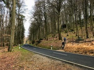 Wandeling Mullerthal Trail Luxemburg