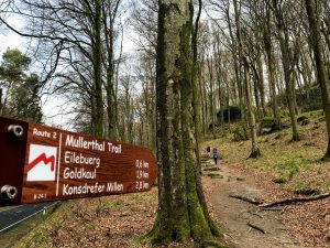 Goldkaul Mullerthal Trail