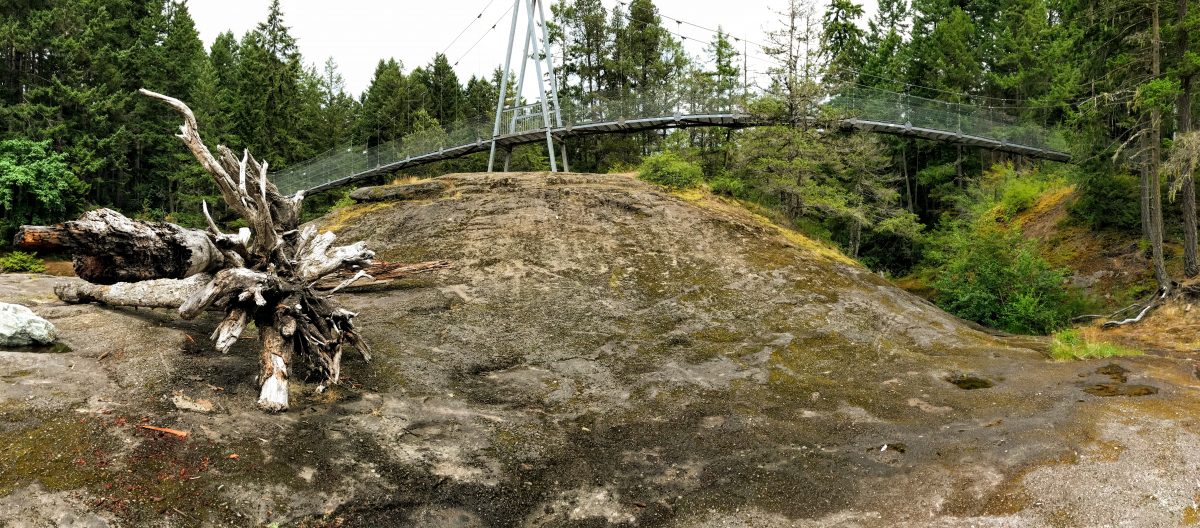 Hangbrug Top Bridge Park Parksville