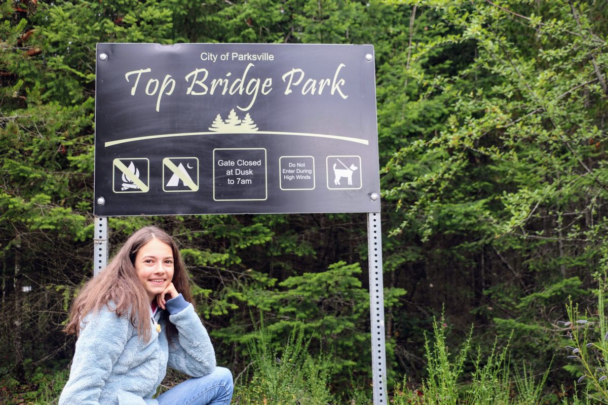 Top Bridge Park City of Parksville