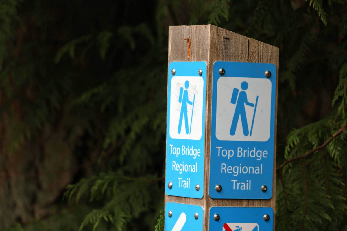 Top Bridge Regional Trail