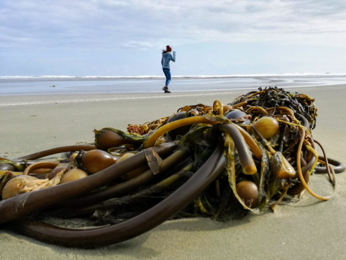 Reisverslag Tofino - Combers Beach