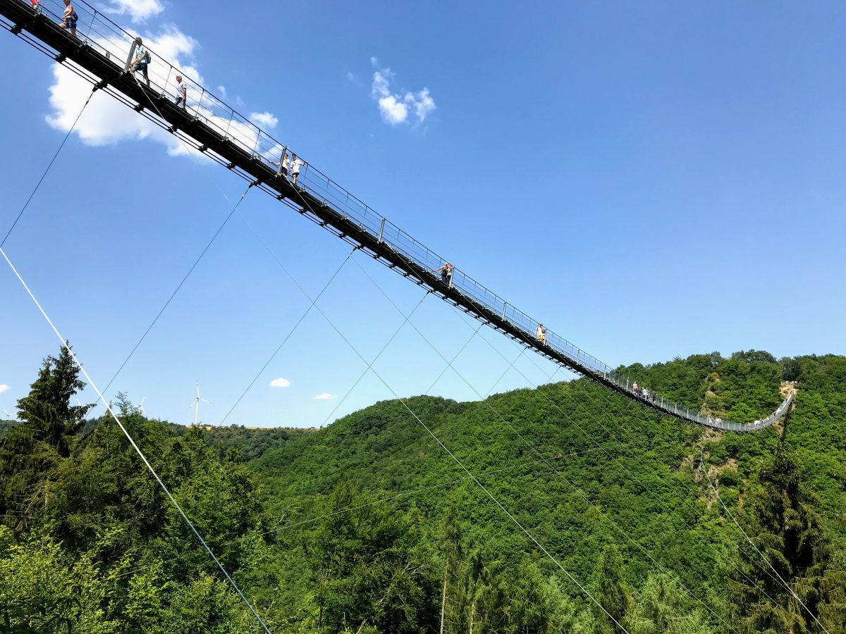 Hangbruggen Duitsland - Geierlay Hängeseilbrücke