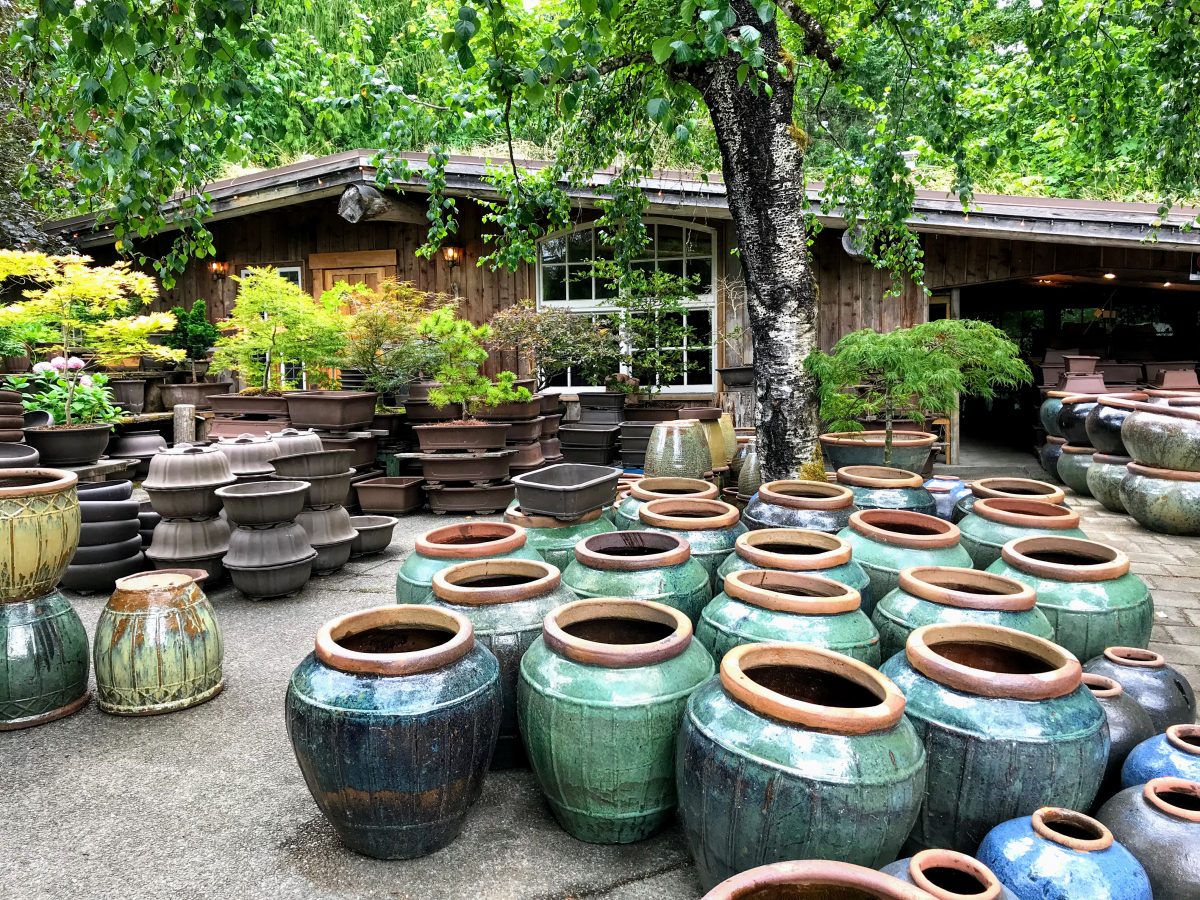 Old Country Market Greenery