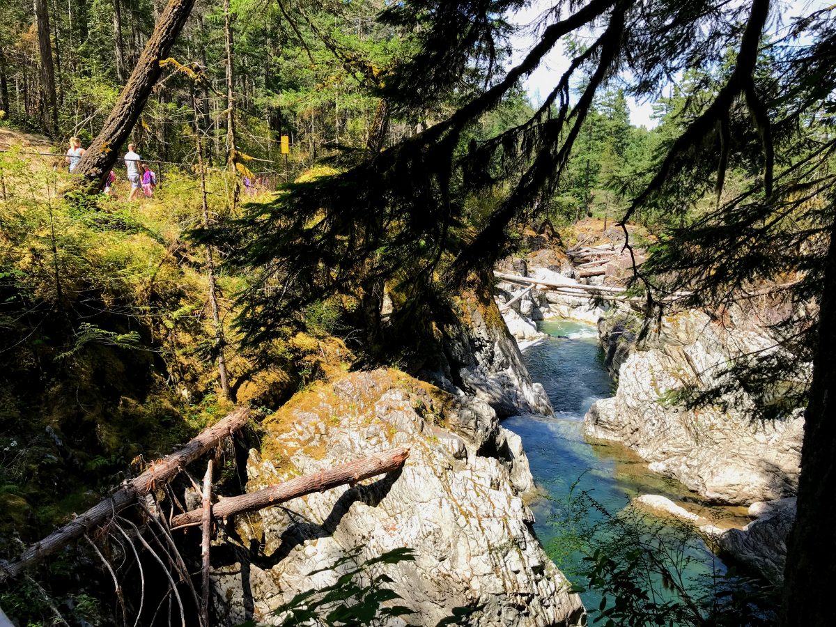 Lower Falls - Little Qualicum Falls Provincial Park