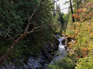Wandelen in het Little Qualicum Falls Provincial Park