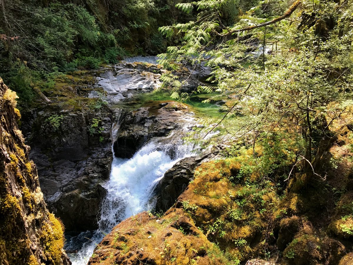 Little Qualicum Falls 