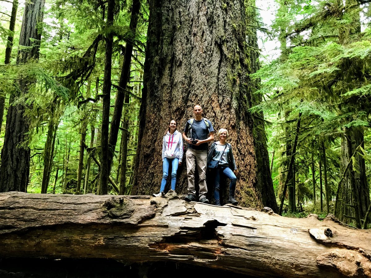 Wandelingen Vancouver Island - Cathedral Grove